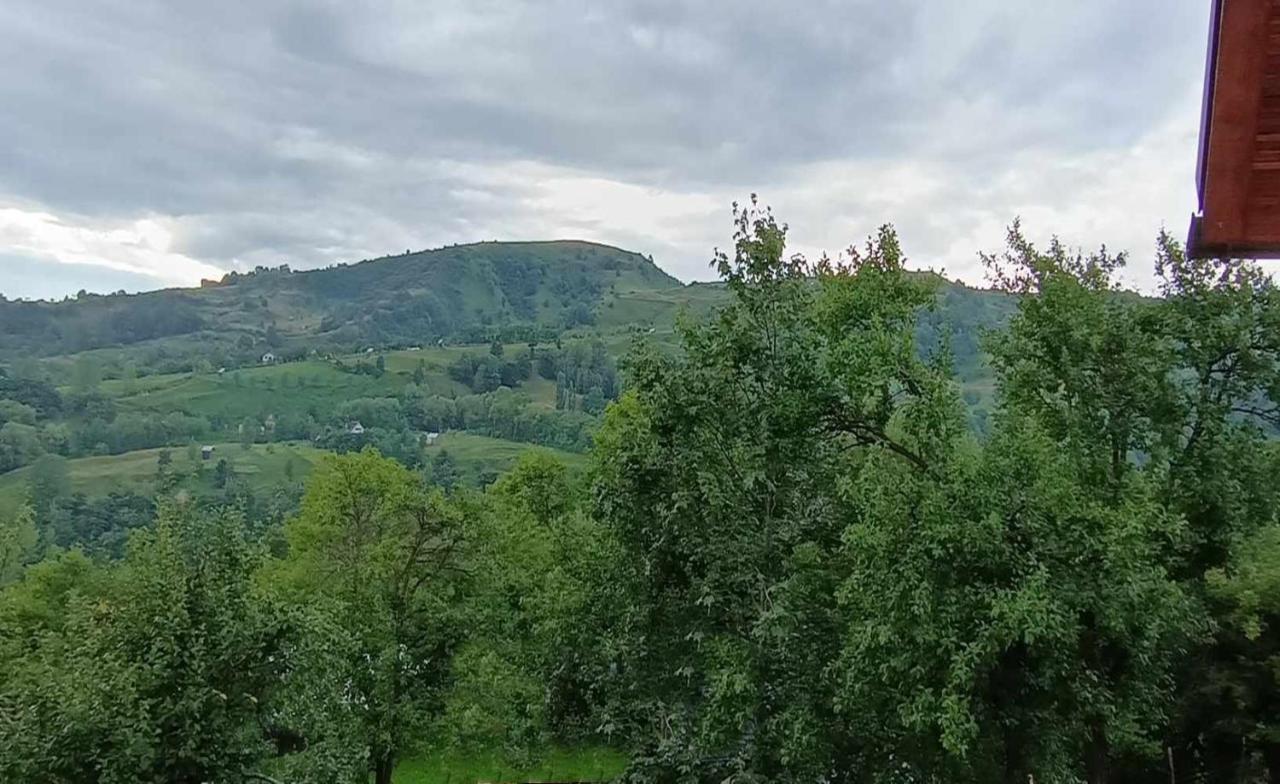 Casuta Din Livada Villa Moisei Eksteriør billede