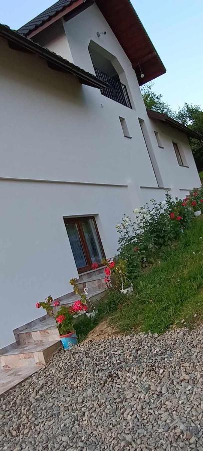 Casuta Din Livada Villa Moisei Eksteriør billede