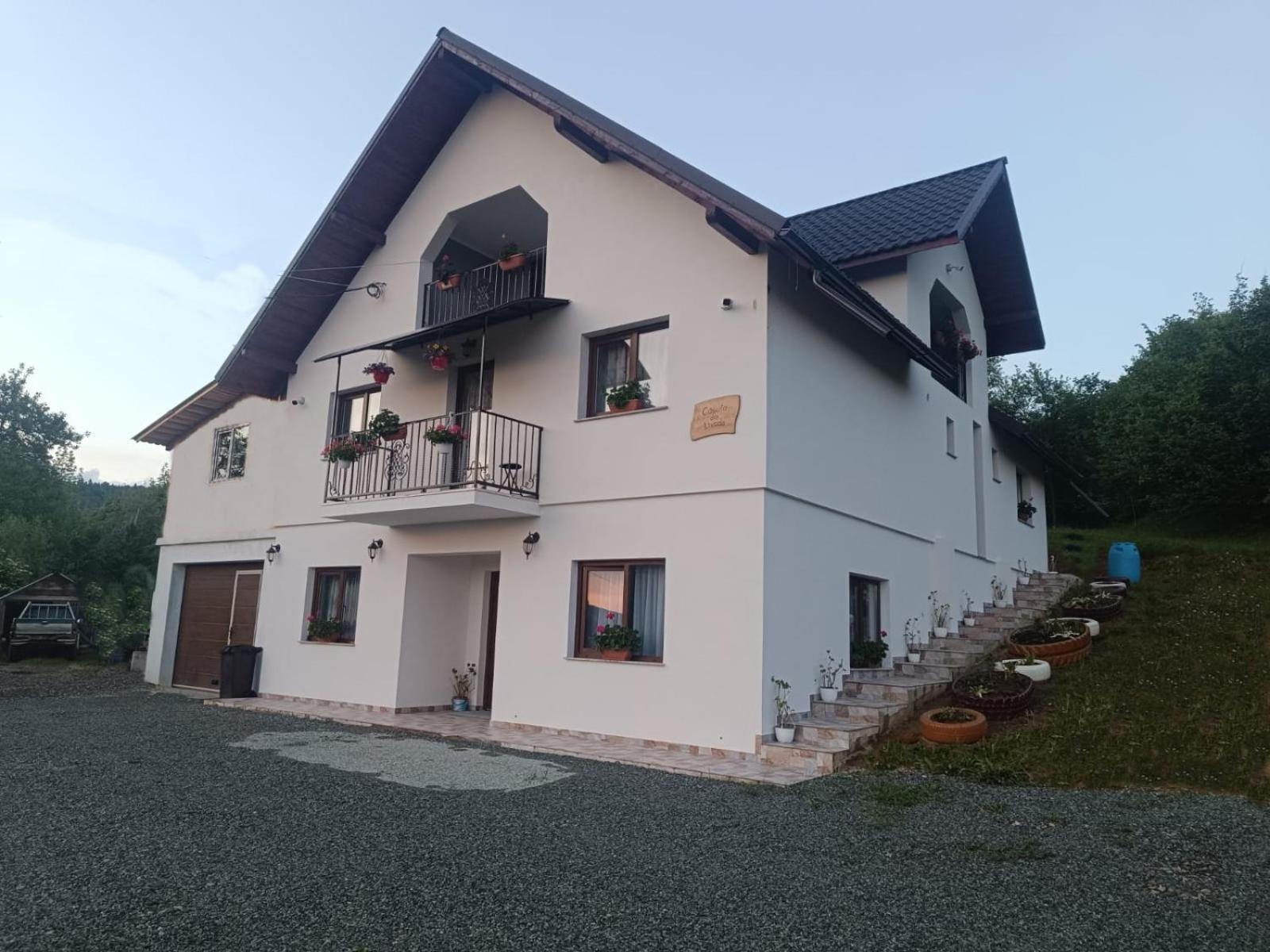 Casuta Din Livada Villa Moisei Eksteriør billede